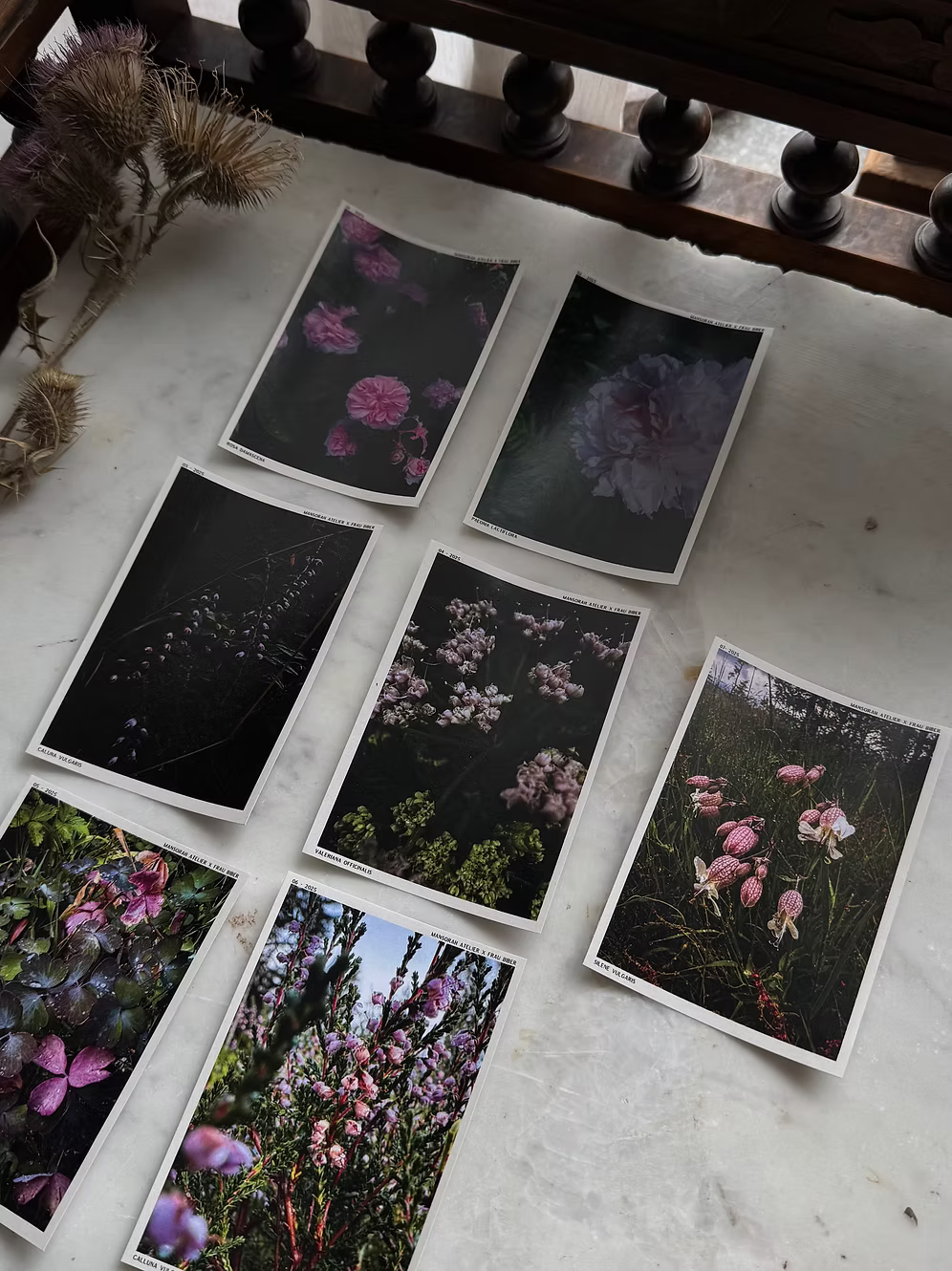 Journal stickers Trading Cards Rose