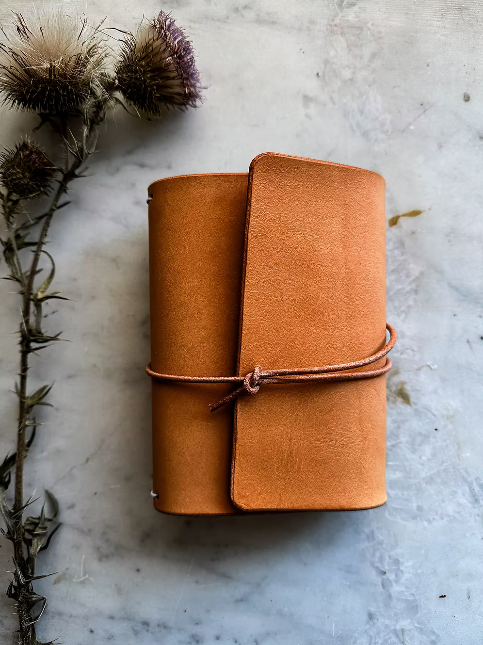 Special Edition 1924 Journal