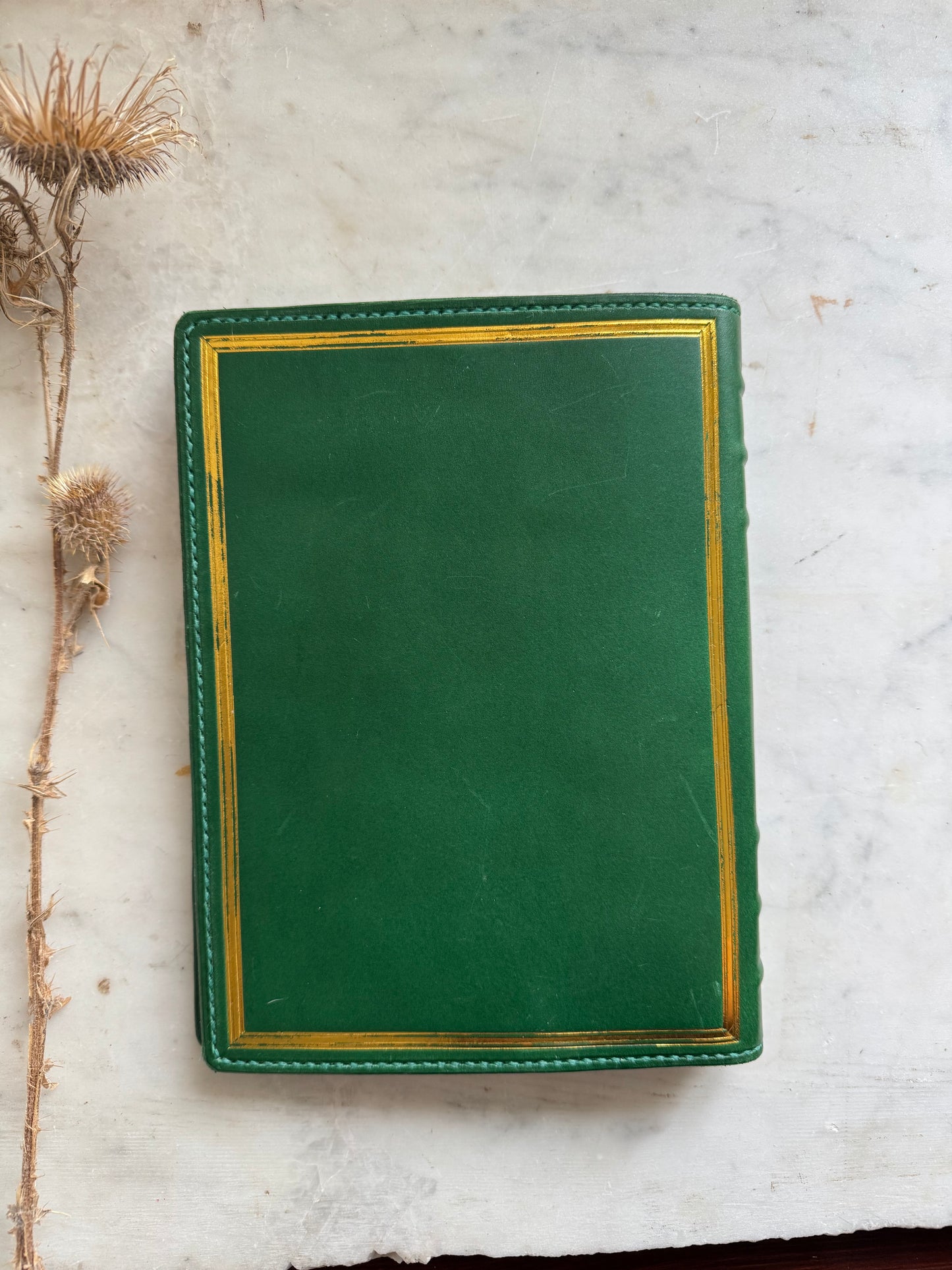 Hylaea Botanica Traveler's Notebook