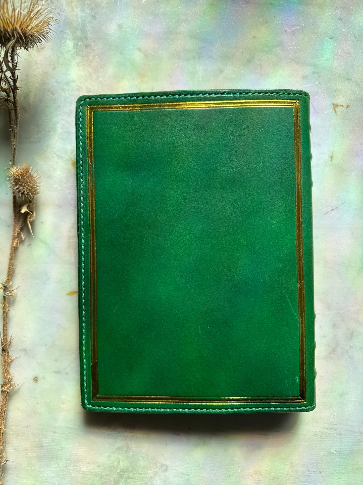 RTS Prototype Hylaea Botanica Traveler's Notebook