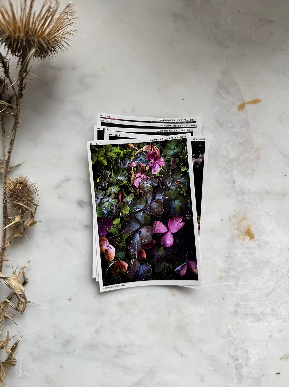 Journal stickers  Trading Cards Rose