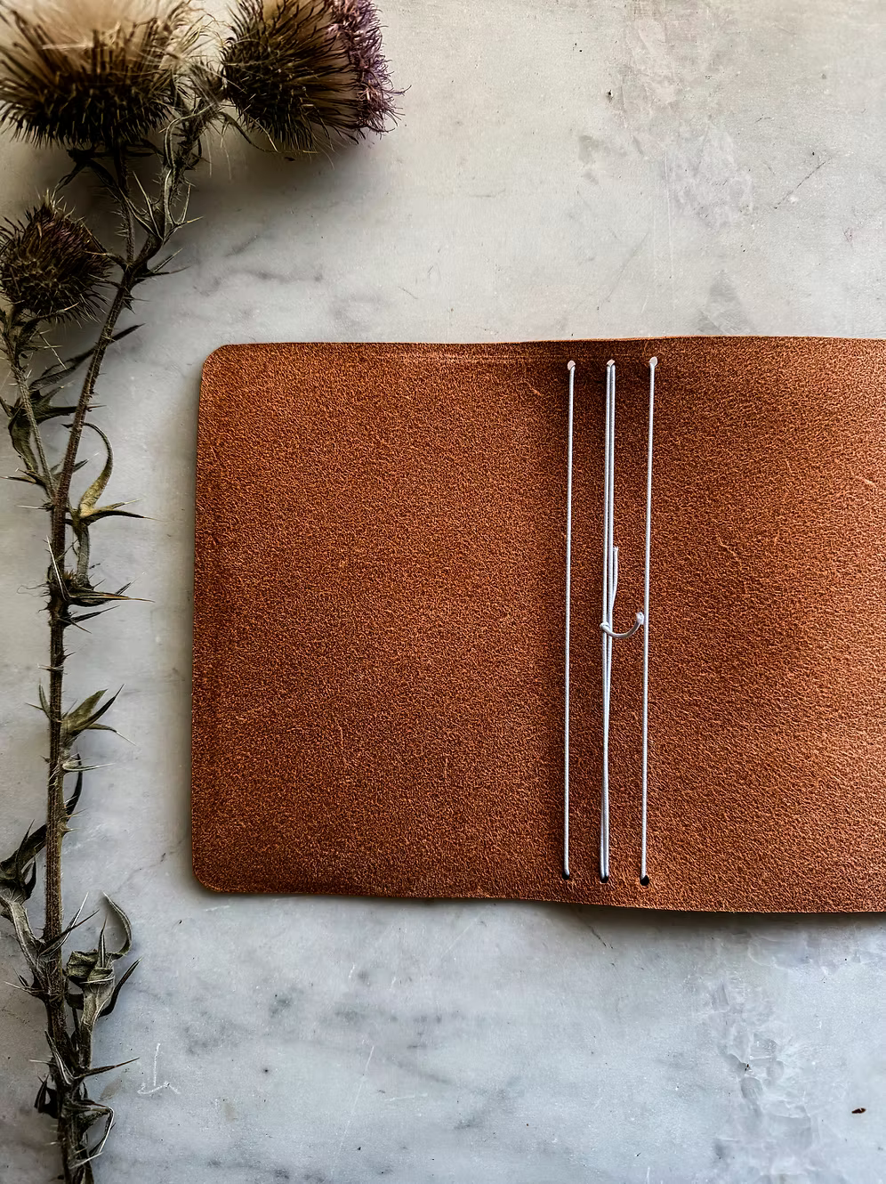Special Edition 1924 Journal