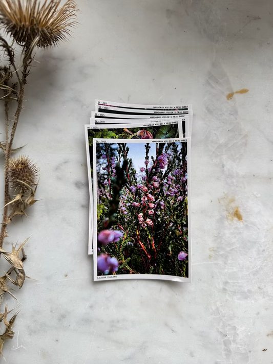 Journalsticker Sammelkarten Rose