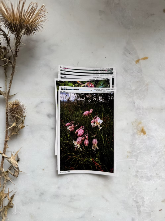 Journalsticker Sammelkarten Rose
