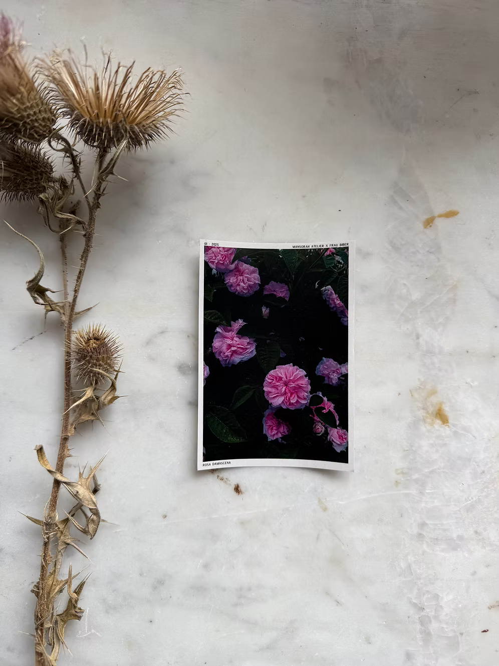 Journal stickers  Trading Cards Rose