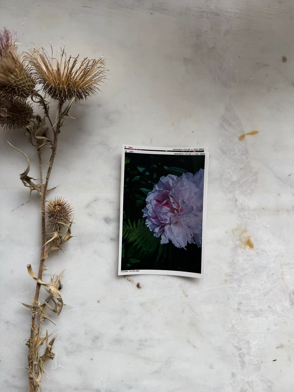 Journal stickers  Trading Cards Rose