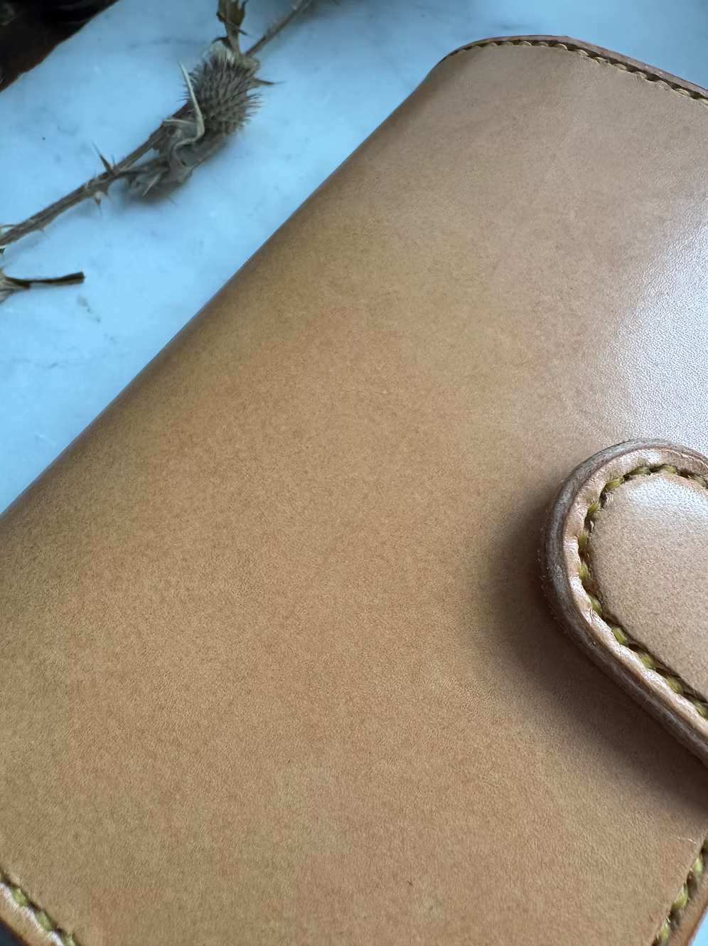 RTS A6 Young Poet Sophistica Folio