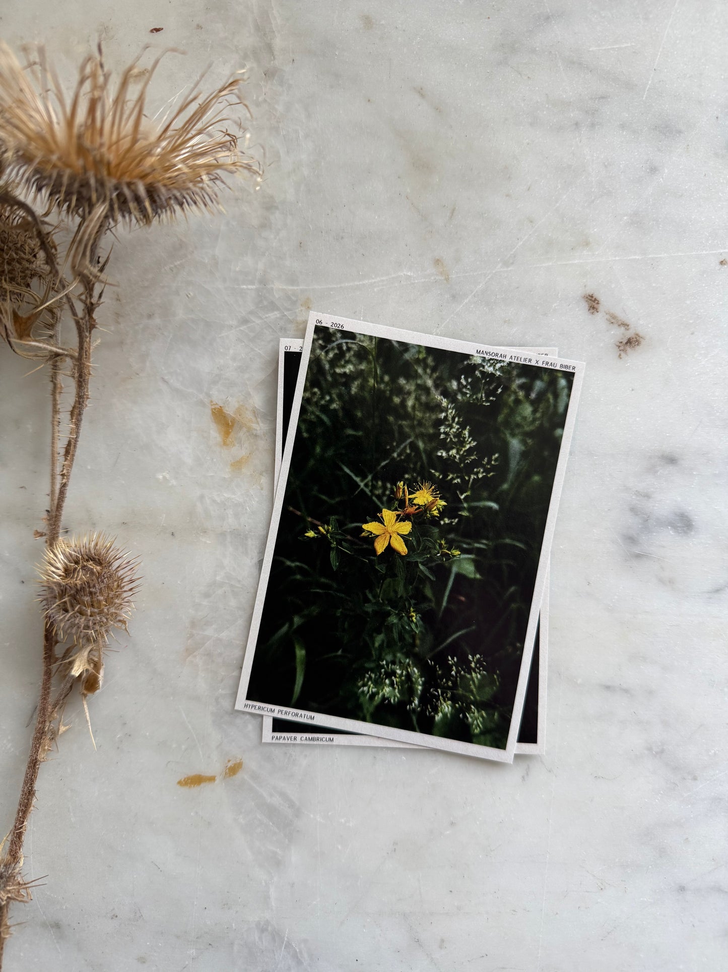 Journal Stickers Trading Cards Yellow