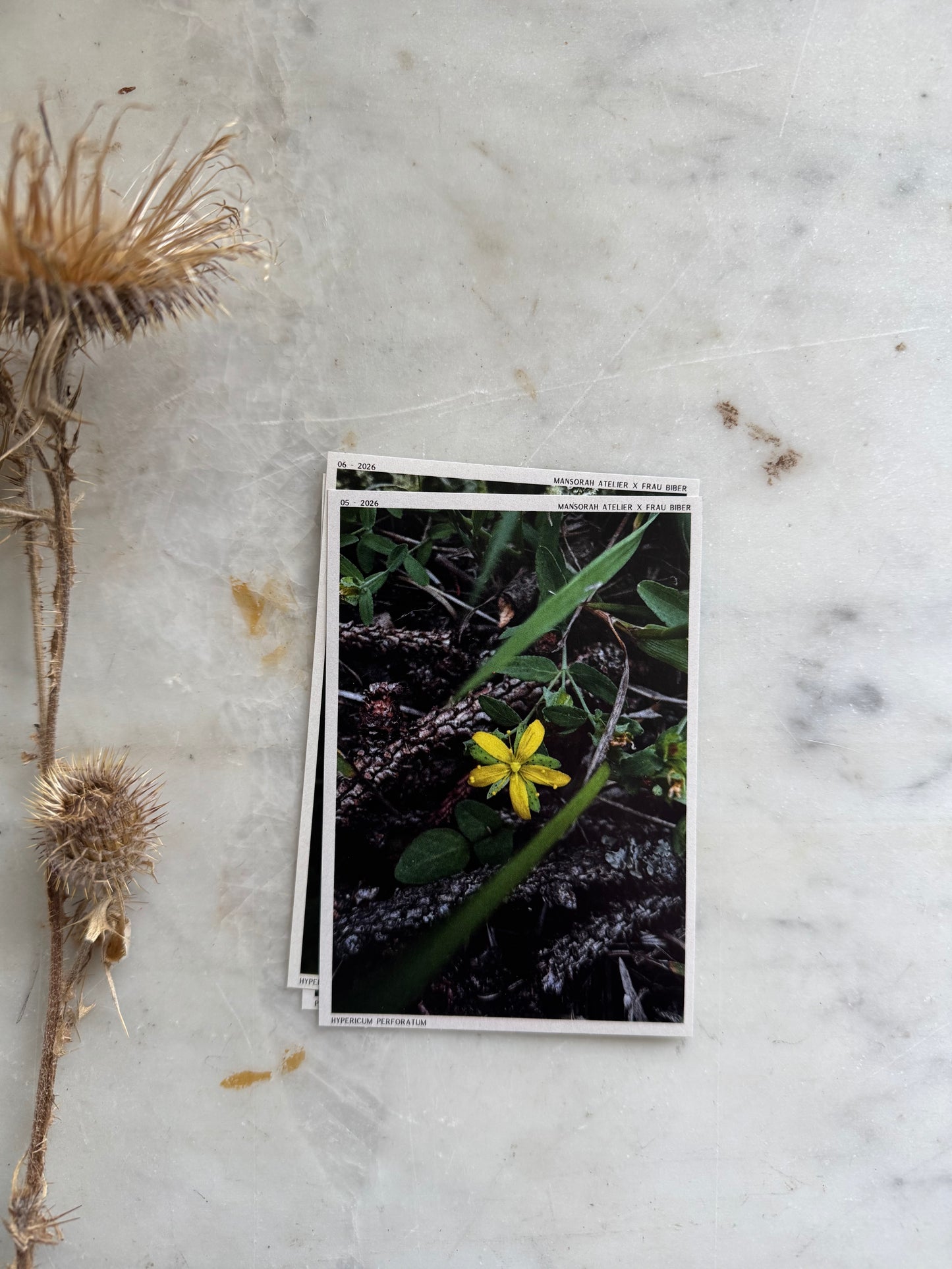Journal Stickers Trading Cards Yellow