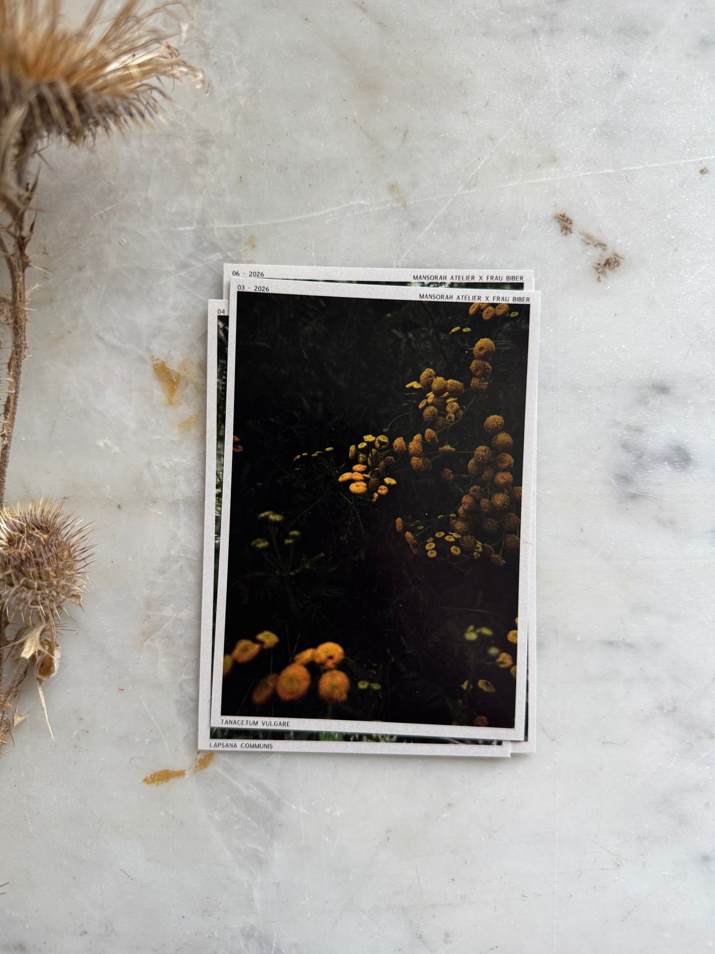 Journal Stickers Trading Cards Yellow