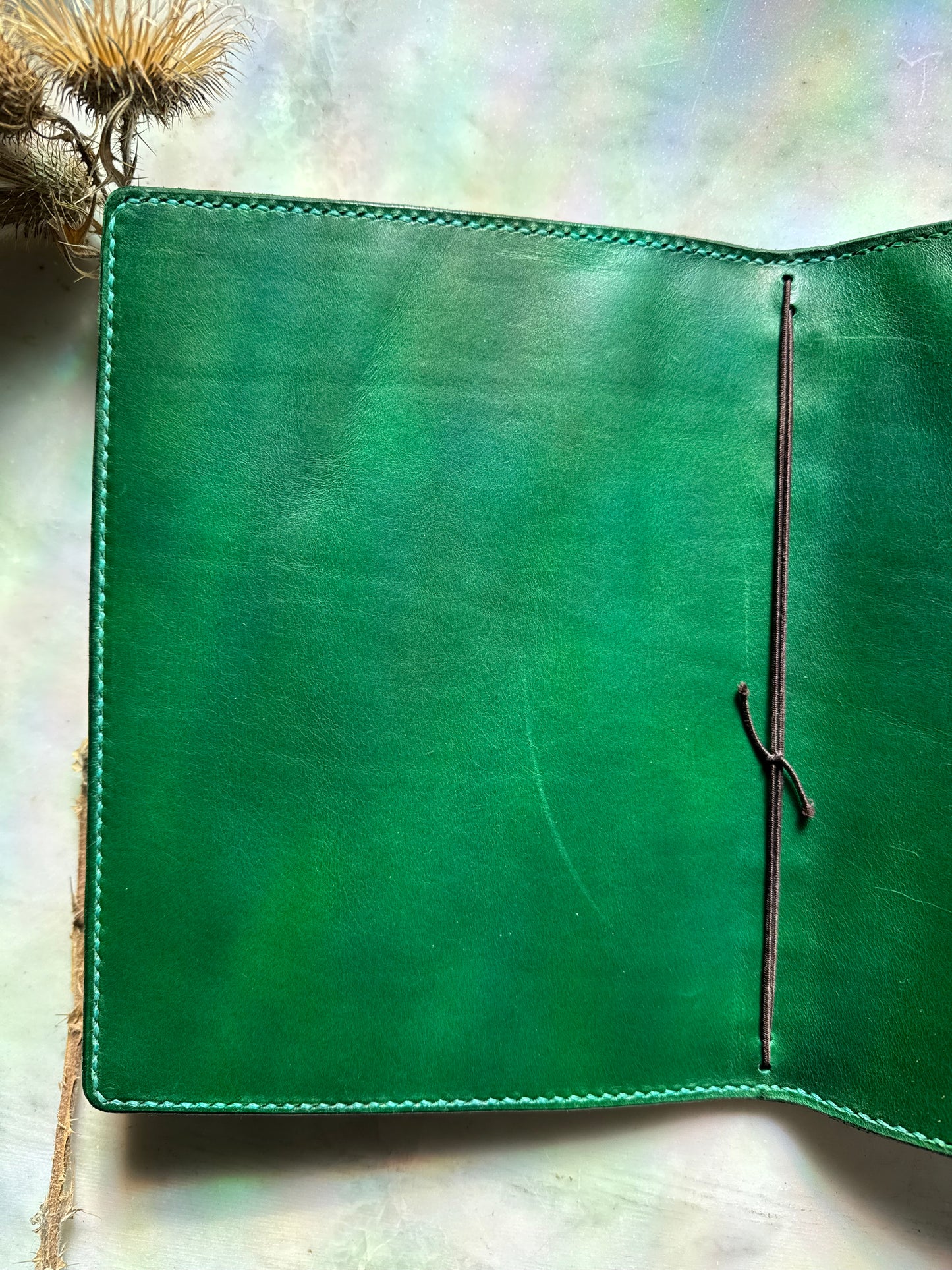 RTS Prototype Hylaea Botanica Traveler's Notebook