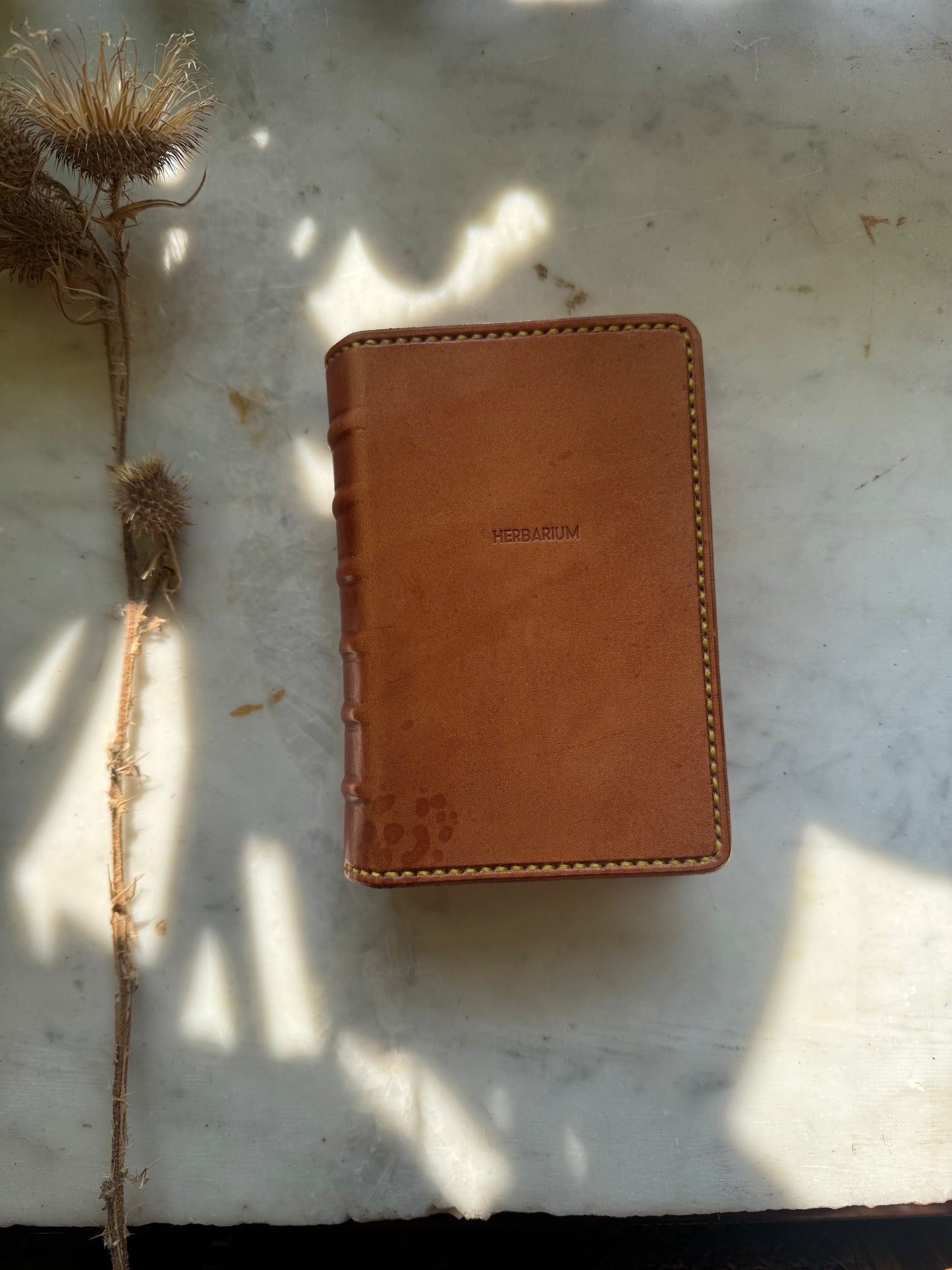 RTS Young Poet Antiquaria Traveler's Notebook